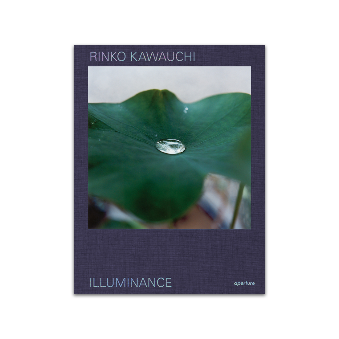 Rinko Kawauchi: Illuminance - The Tenth Anniversary Edition
