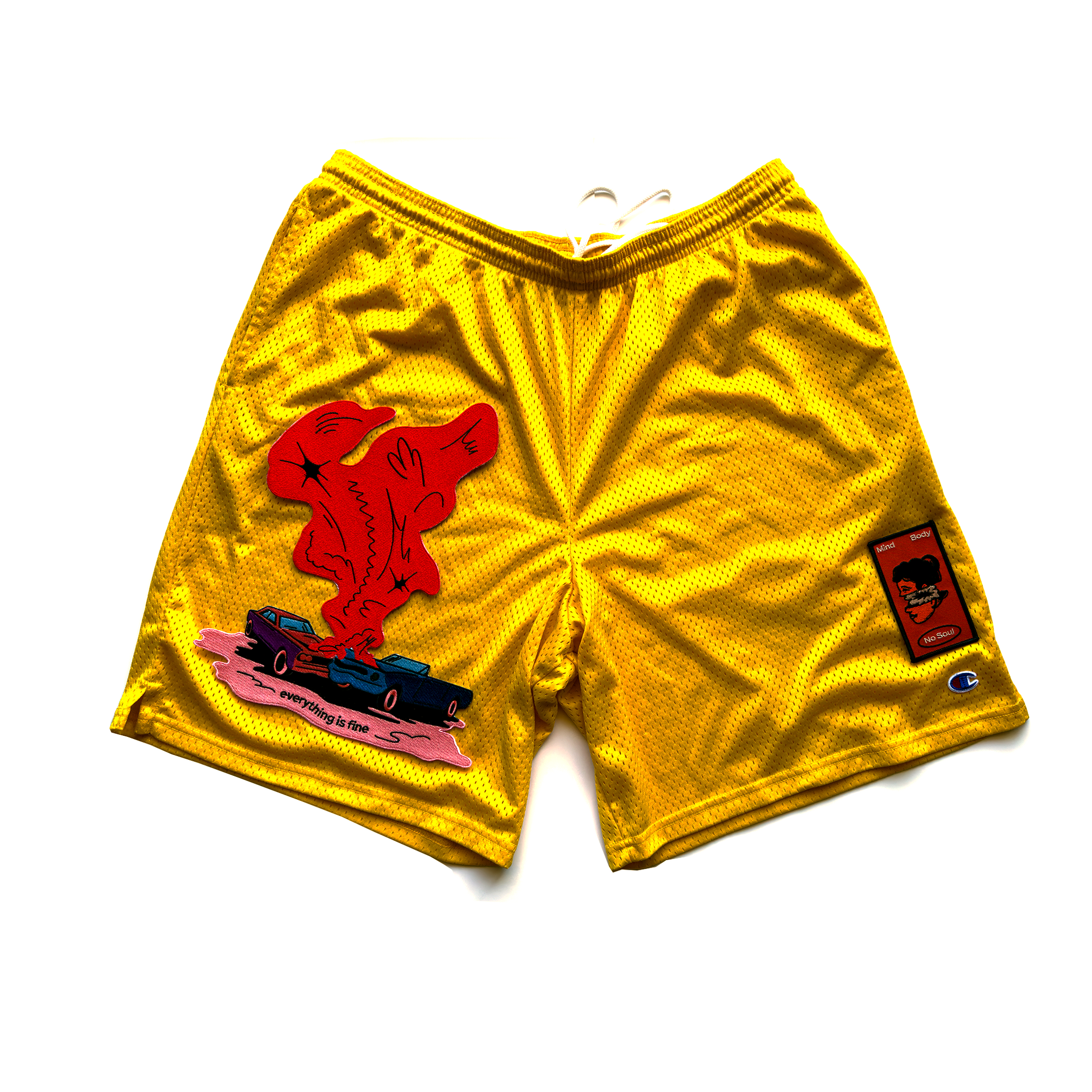 Everything Is Fine Customized Men's Champion 9" Mesh Shorts