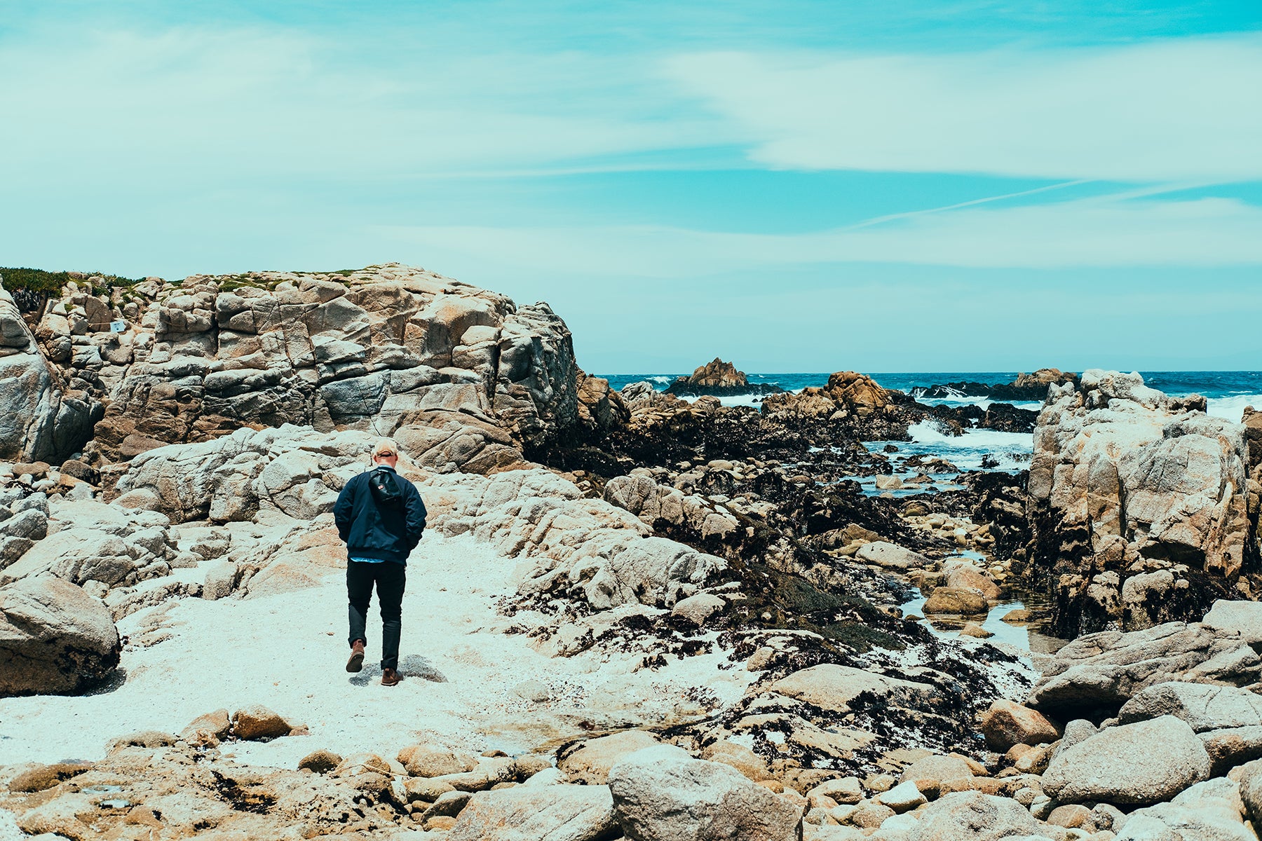 A Person Hiking in Nature Along The Oceanside In Monterey California