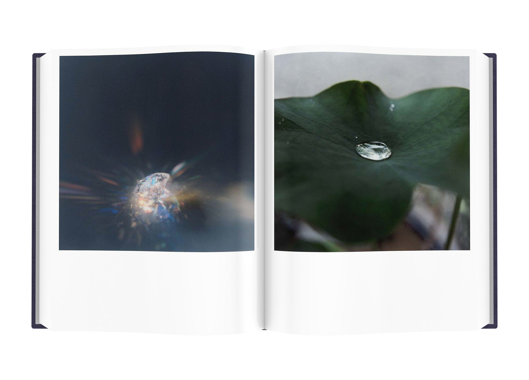 Rinko Kawauchi: Illuminance - The Tenth Anniversary Edition